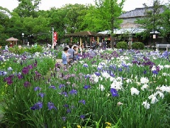 写真１