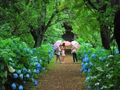 写真１