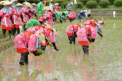 写真１