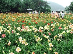 写真１