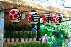 写真１