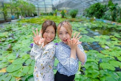 写真１