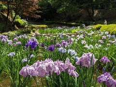 写真１