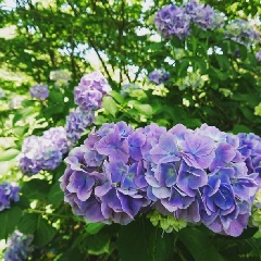 写真１