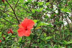 写真１