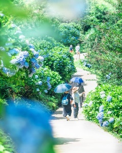 写真１