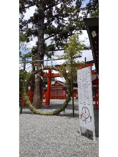 写真１