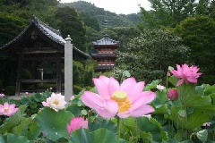 写真１