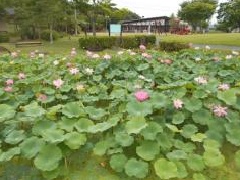 写真１
