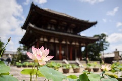イベント画像