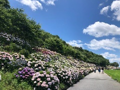 写真１
