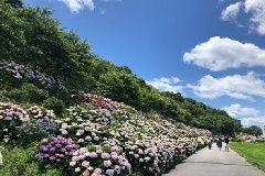 イベント画像