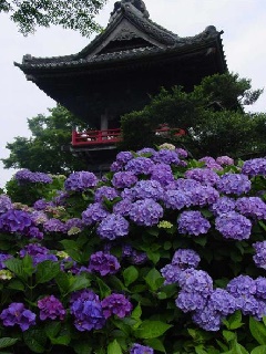 写真１