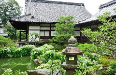 写真１