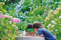 写真１