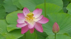 写真１