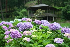 写真１