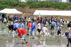 写真１