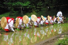 写真１