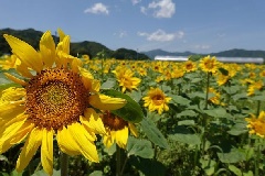 写真１