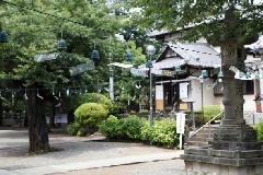 写真１