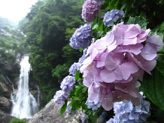 写真１