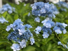 写真１