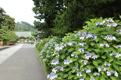 写真１