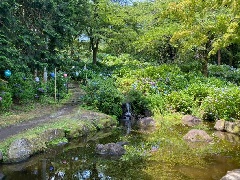 写真１