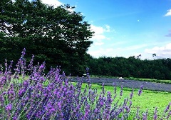写真１