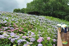 写真１