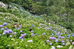 写真１