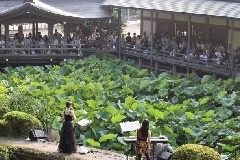 写真１
