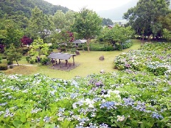 写真１