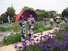 写真１