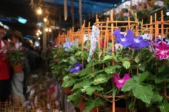 写真１