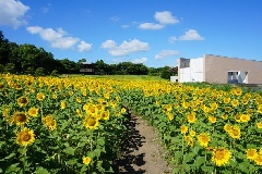 写真１