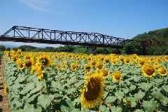 写真１