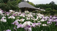 写真１