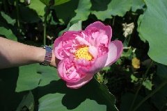 写真１