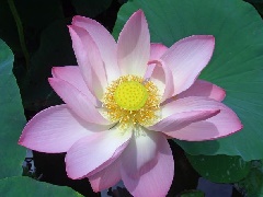 写真１