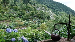 写真１