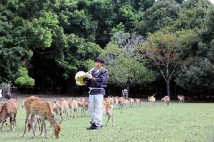 写真１