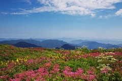 写真１