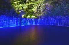写真１
