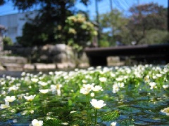 写真１