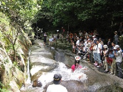 写真１