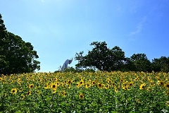 イベント画像