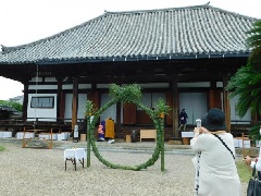 写真１