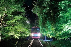写真１